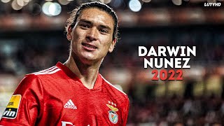 Darwin Nunez 2022  Amazing Skills Goals amp Assists  HD [upl. by Airpal941]