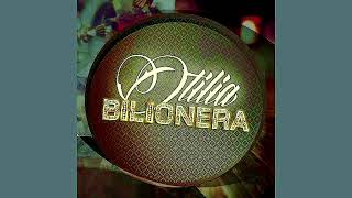 Bilionera Otilia full song mp3  Slow  reverb music 🎶 [upl. by Nesta]