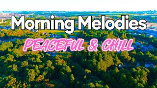 Peaceful Morning Classic  Chill Rhumba amp Cha Cha Cha Instrumental Melodies  Relaxing Morning Vibes [upl. by Lexerd]