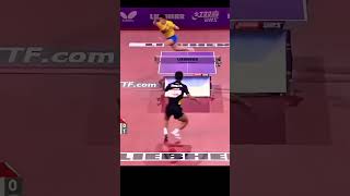 Zhang Jike vs Fan Zhendong 🔥🔥 zhangjike fanzhendong tabletennis [upl. by Oicnerual]