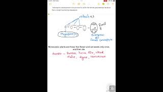 Monosporic development and Monocarpic plant shortsvideo [upl. by Liam]