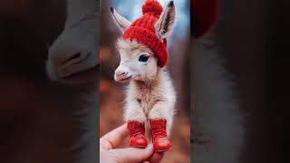 Animale mici drăguțe animals cuteanimals ai minianimals nature relaxing shorts shortvideo [upl. by Enaelem]