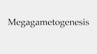 How to Pronounce Megagametogenesis [upl. by Gearalt250]