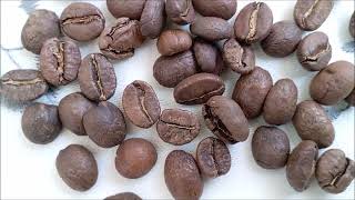 Arabica Coffee Robusta Coffee How to Brew Arabica Coffee [upl. by Huda323]