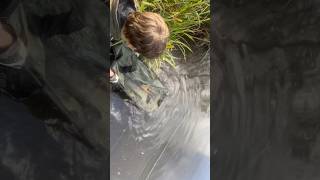 Some more special carp shortsfeed fishing carpfishing fishingshorts lake [upl. by Fielding]