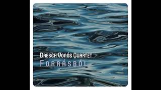 Dresch Vonós Quartet  Legényes [upl. by Malissia]