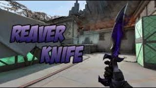 Valorant Reaver Knife Showcase [upl. by Annie721]