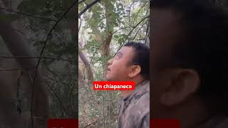 Como ser un chiapaneco viralvideo compartanlo videosvirales humor [upl. by Atterual]