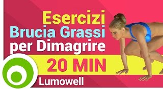 Esercizi Brucia Grassi per Dimagrire  Aerobica a Casa [upl. by Joo]