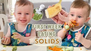 First Week of Our Baby Led Weaning Journey  Babys First Food and Starting Solids [upl. by Meijer581]