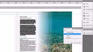 Interaktiv PDF Video einfügen InDesign CS 5 Tutorial Deutsch [upl. by Briano132]