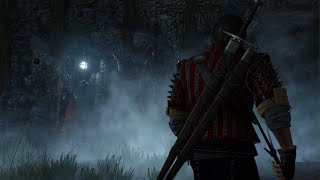 Eskel vs Caranthir The Witcher 3 PS5 [upl. by Sheilah]