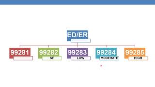 2023 E amp M CHANGES IN CODING EMERGENCY DEPARTMENT SERVICES [upl. by Artaed441]