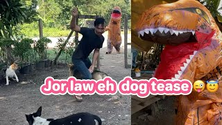 Jor law eh dog tease 😛😜😜 [upl. by Chandless]