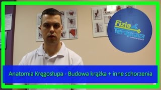 Anatomia Kręgosłupa  Budowa krążka  inne schorzenia 7 FizjoTerapia HD [upl. by Lauralee]