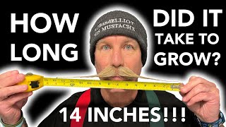 How Long Does It Take To Grow A Handlebar or Dali Mustache US Mustache Champion Bob Baker Tells All [upl. by Eralcyram]