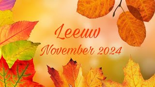 Kaartlegging voor het sterrenbeeld Leeuw  November 2024 ♌️ [upl. by Nwahsaj]