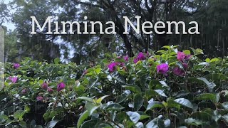 Mimina Neema Keyboard Performance [upl. by Belding]