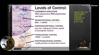 HBio Review Chapter 25 Control of Gene Expression [upl. by Aleras]