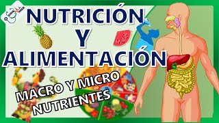 CONCEPTOS BÁSICOS DE NUTRICIÓN Y ALIMENTACIÓN  GuiaMed [upl. by Blau756]