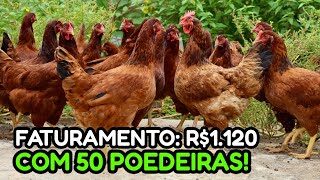 100 GALINHAS POEDEIRAS GERAM QUANTO DE LUCRO💰 Forma certa de começar [upl. by Ertnom]