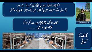 Success story in Calves کاف ویننگ ایج 90 دن سے کم ہو کر 45 دن ھو گئی dairycalves earlyweaning [upl. by Uht871]