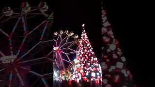 Ang Giant Christmas Tree At Giant Ferres Wheels shortvideo [upl. by Ellehcyt]