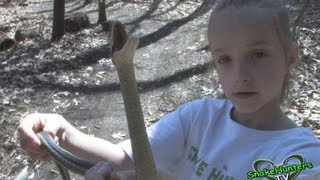 KIDS CATCHING SNAKES CONTEST SnakeHuntersTV [upl. by Argyle]