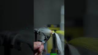 Baja Saltwater Streamer Fly Tying Session 4 [upl. by Aurore]