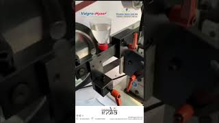 VBS07 BELT SANDER VALGRO  Sanding Machine  Stainless steel  Deburring Machine  Edge rounding [upl. by Ronna]