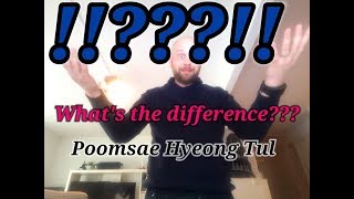 Whats the difference between Poomsae Hyeong and Tul [upl. by Alexa]