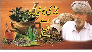 Benefits of herbs  Mard ki nabz pakar k orat ka marz batane wala hakeem  Diabetes Treatment [upl. by Ayekel]