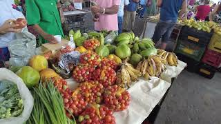 Feira de Frutas em 🍏🍅 em Tuparetama  PE EP  02 feiralivre feira [upl. by Imnubulo]