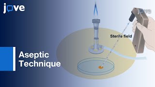 Aseptic Plating Methods in Microbiology to Maintain Sterility [upl. by Lloyd]