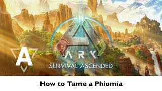 How to Tame a Phiomia in ARK Survival Ascended Quick amp Easy [upl. by Mareah300]