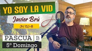 Yo Soy la Vid  Javier Brú  5° Domingo de Pascua Ciclo B Jn 15 18 [upl. by Attehcnoc]