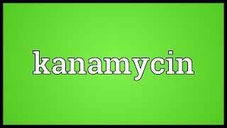 Kanamycin Meaning [upl. by Nosredneh]