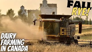 The Start of Harvesting Grain [upl. by Rodney607]