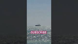 Key West Fishing Boats Making 💵💵 music keywest shortsvideo beach Fishing beachsession ScottyG [upl. by Wiener]