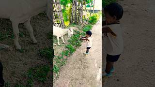 cute baby DJ remix bhojpuri dancing 😂😂 shorts trendingshorts viralvideo funnyvideos youtubesho [upl. by Stich]