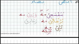 Les couleurs en arabe Leçon 10 [upl. by Derte]