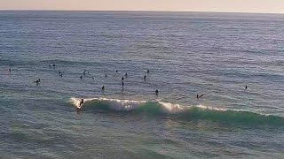 Surf Highlights  Mid Length Twin RAW Video [upl. by Nueormahc]