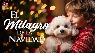 El milagro de la Navidad  Película Cristiana [upl. by Emilee]