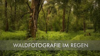 Landschaftsfotografie Tutorial  Den verregneten Wald fotografieren [upl. by Cilo717]