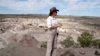 Ischigualasto 2da Estación Valle Pintado HQ HD [upl. by Barthelemy]