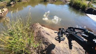 Bowfishing with the Mini Striker Pistol Crossbow [upl. by Ardnoel]