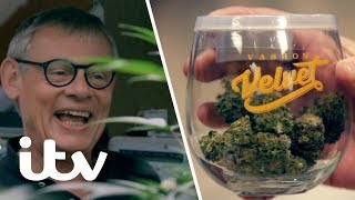 Martin Visits a Cannabis Farm in Washington State  Martin Clunes Islands of America  ITV [upl. by Ingles384]