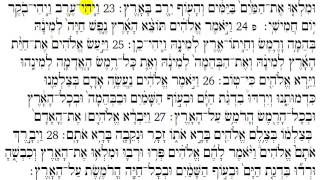 Torah Reading  Genesis Chapter 1 [upl. by Lavona]