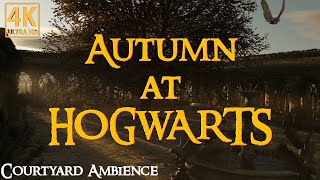 Harry Potter  Courtyard Serenades Autumn Atmosphere at Hogwarts [upl. by Kinelski]