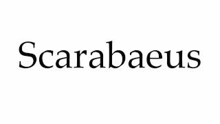 How to Pronounce Scarabaeus [upl. by Atiuqnahs]